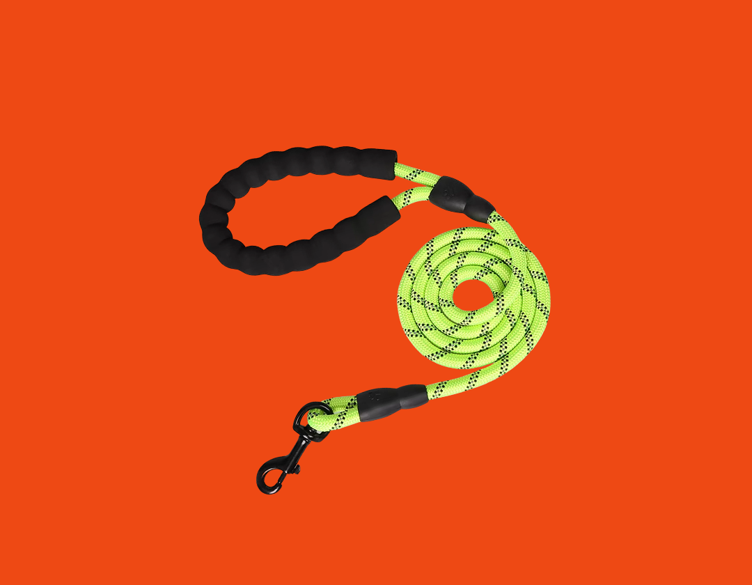 Laisse pour chien