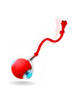 Balle Interactive Chien Rouge