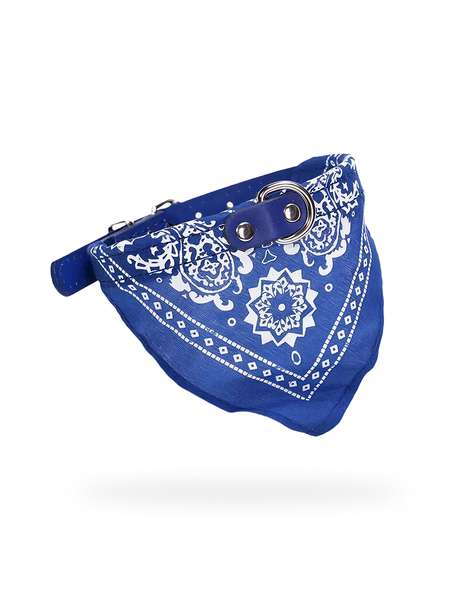 Bandana Pour Chien