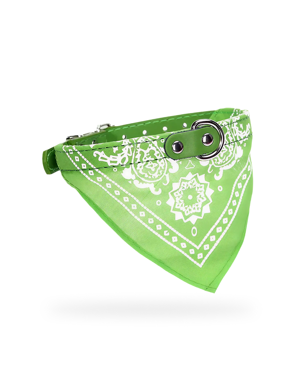 Bandana Pour Chien Vert