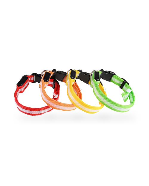 Collier Lumineux Pour Chien
