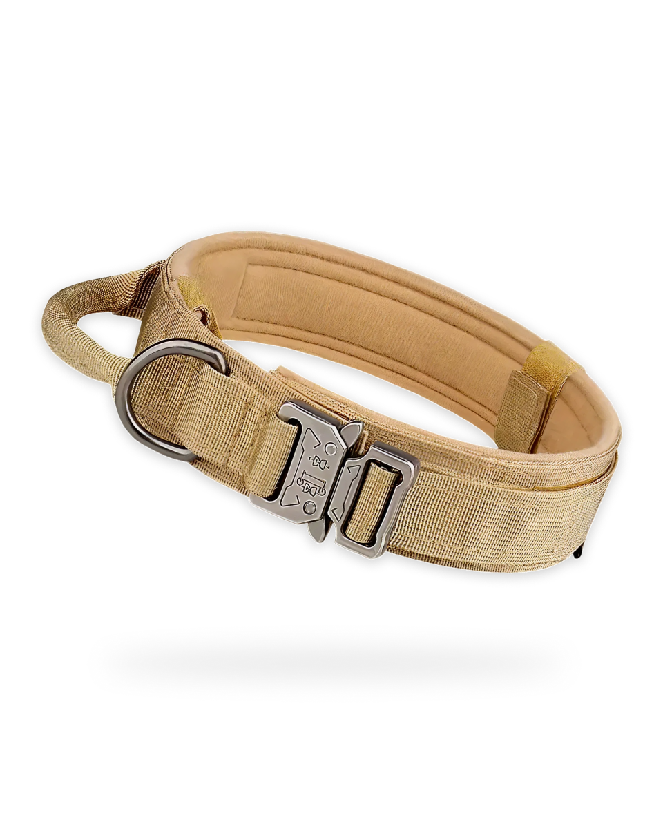 Collier Pour Chien Solide