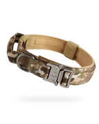 Collier Pour Chien Solide