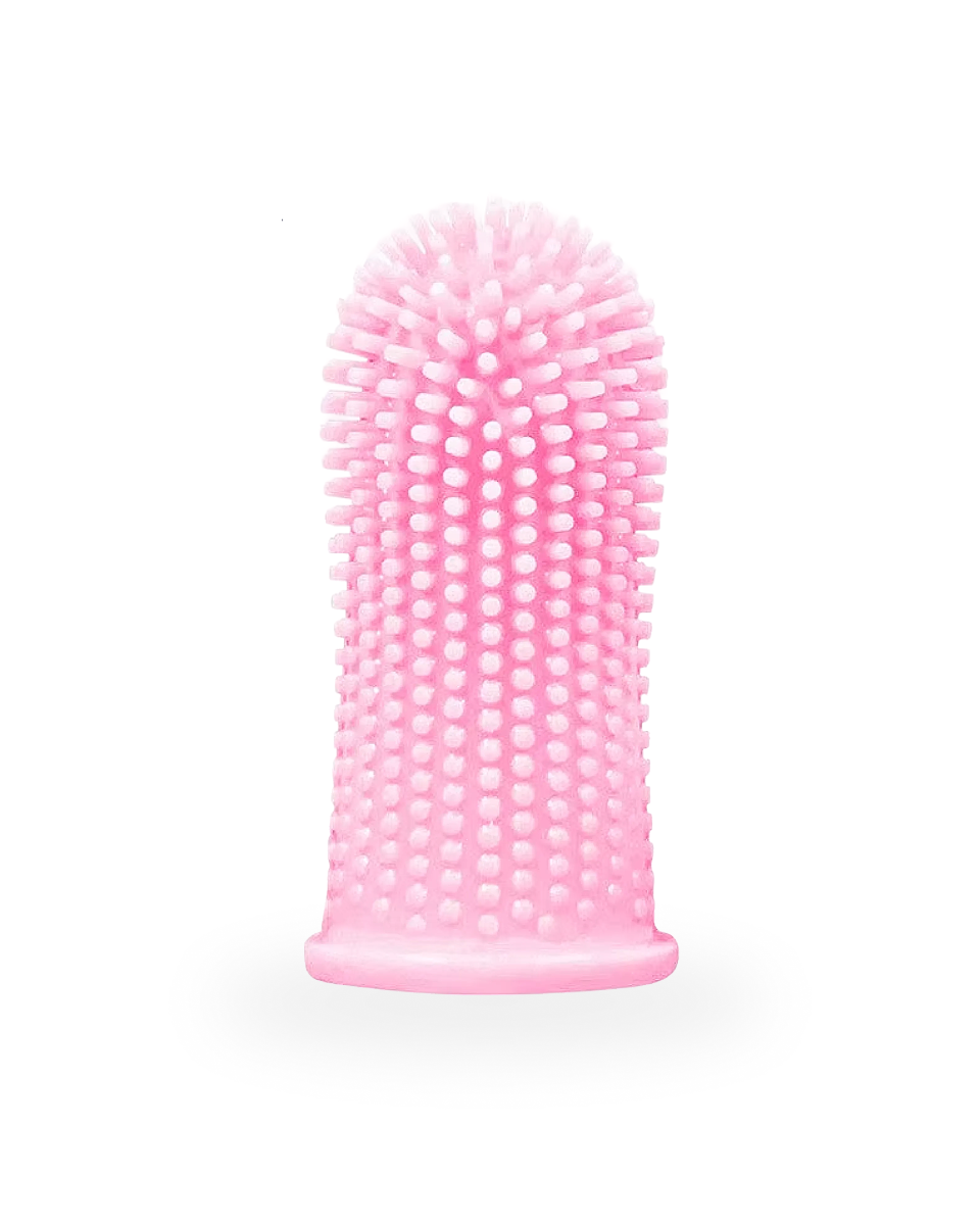 Brosse à Dents Pour Chien