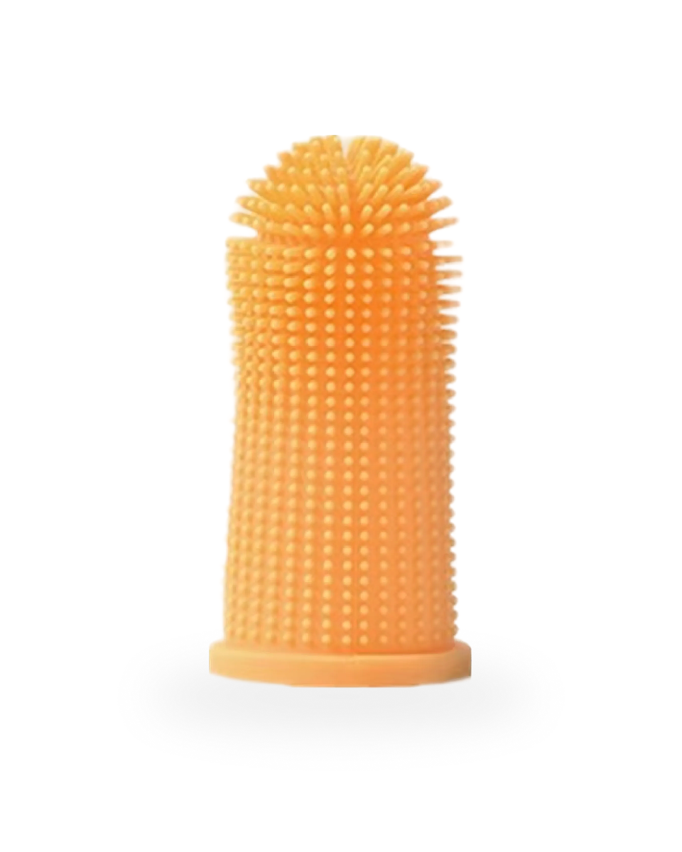 Brosse à Dents Pour Chien