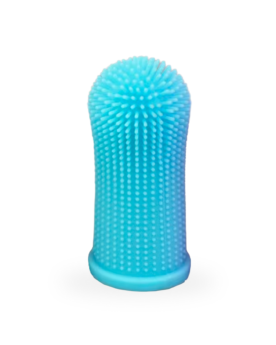 Brosse à Dents Pour Chien