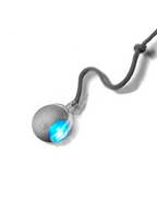 Balle Interactive Chien