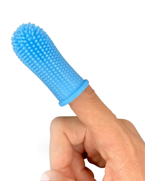 Brosse à Dents Pour Chien