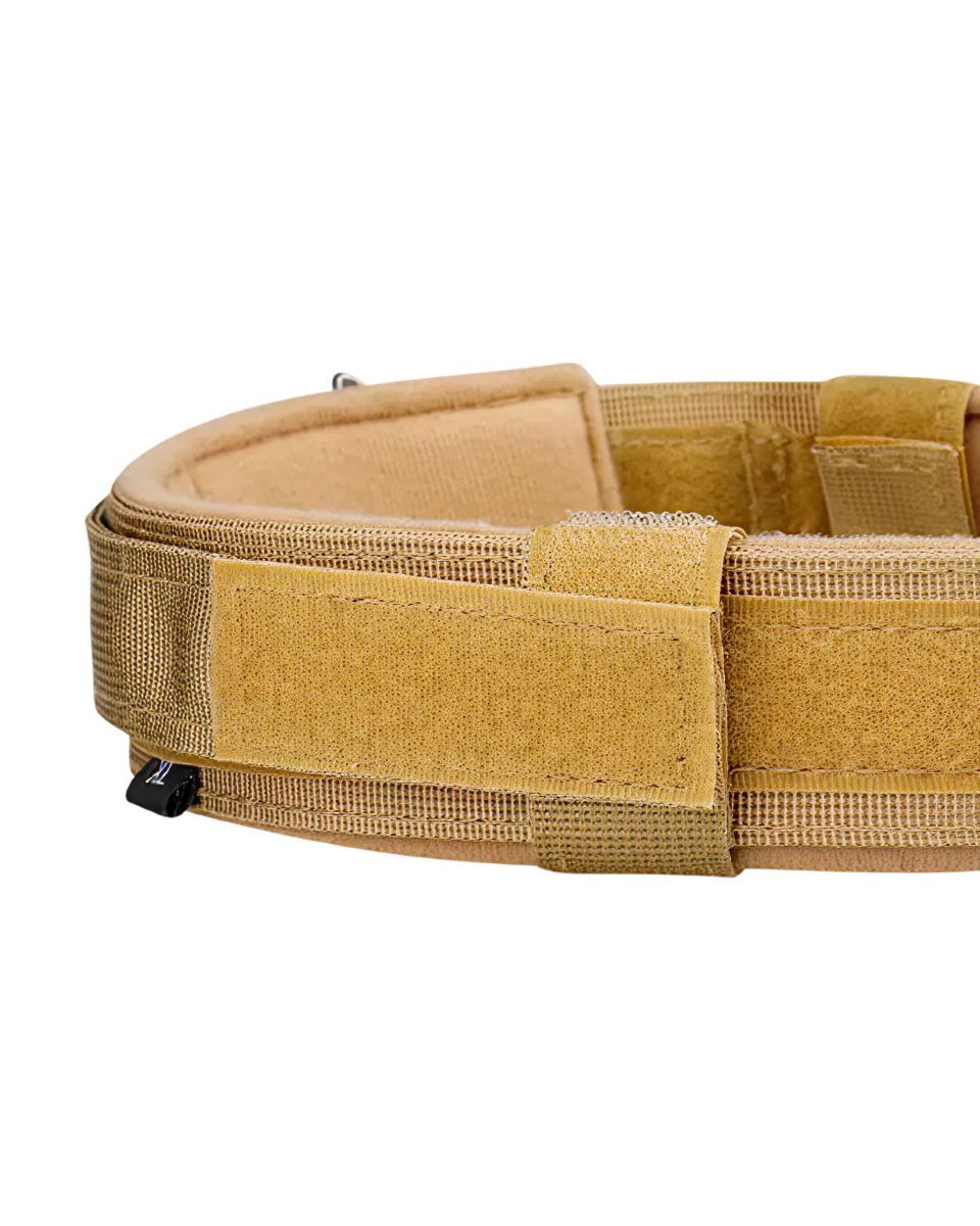 Collier Pour Chien Solide