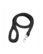 Laisse Corde Pour Chien