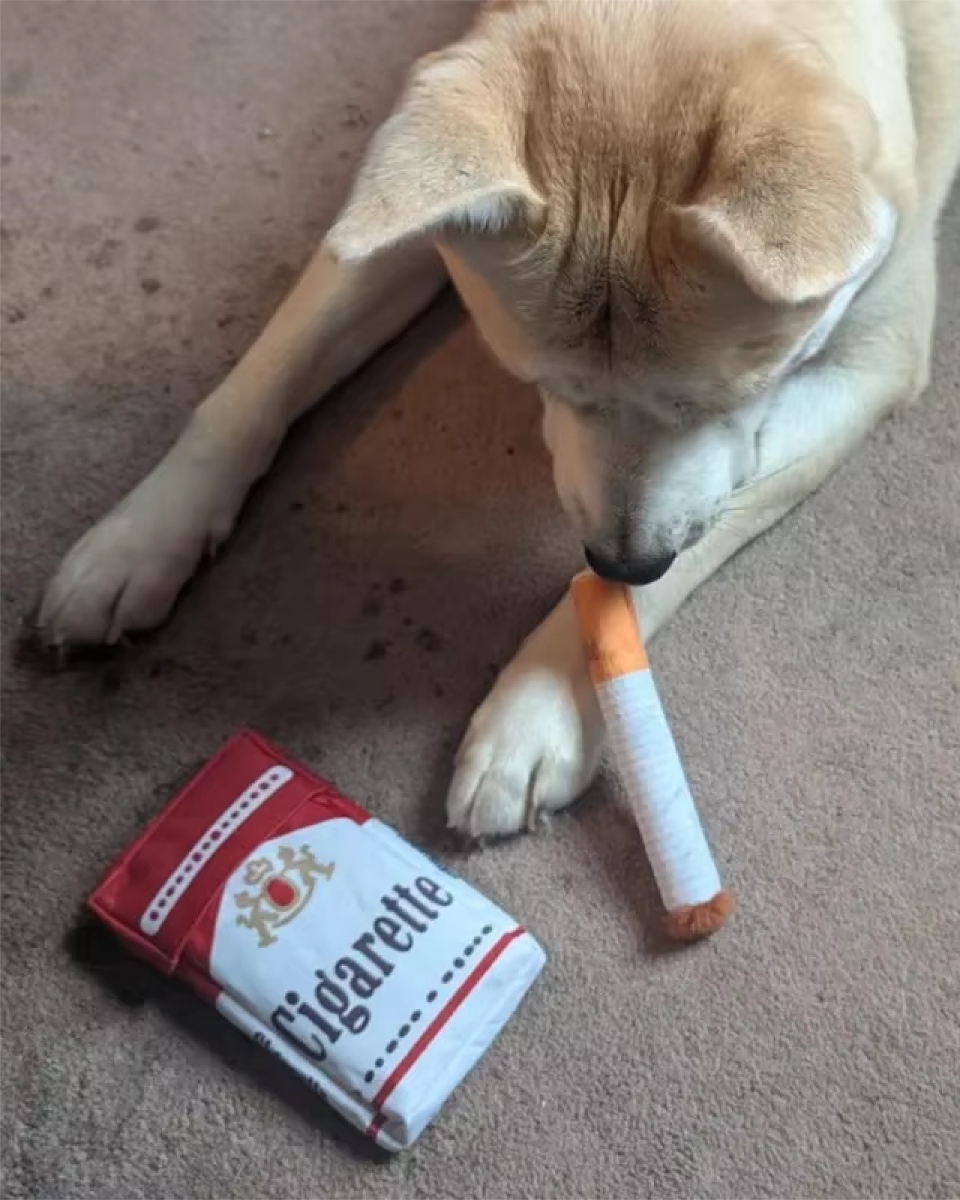 Jouet Chien Cigarette