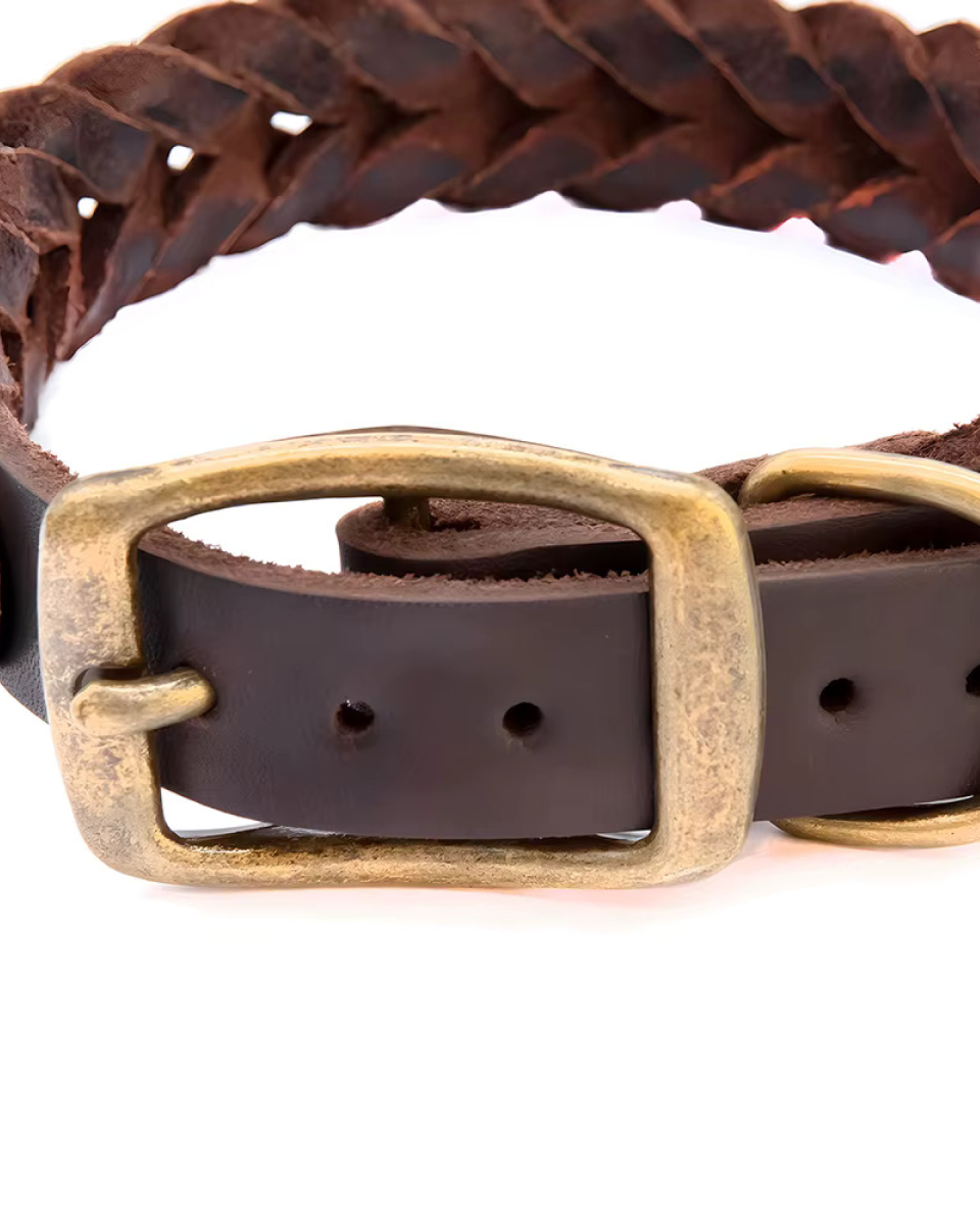 Collier Pour Chien En Cuir Artisanal