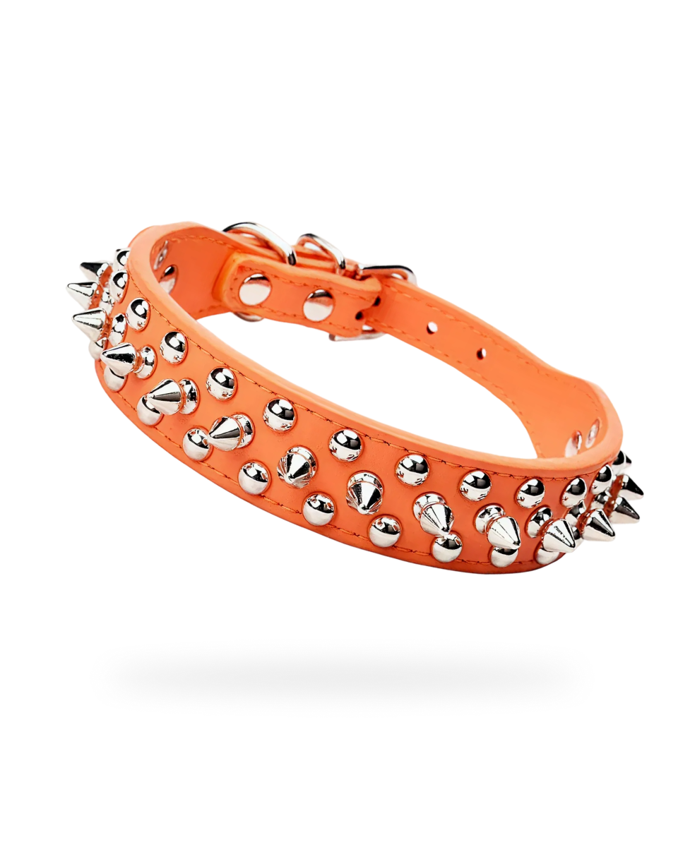 Collier Pour Chien a Pique