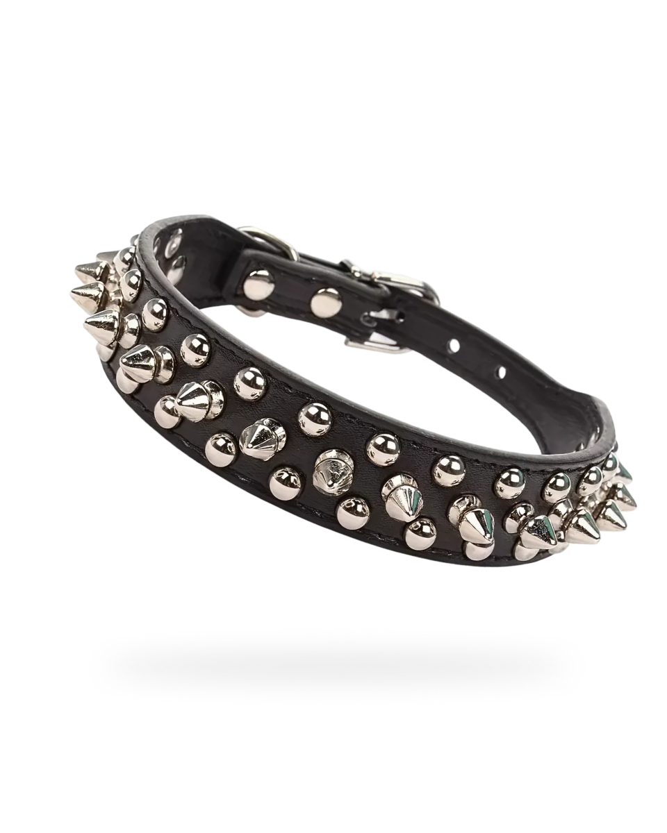 Collier Pour Chien a Pique