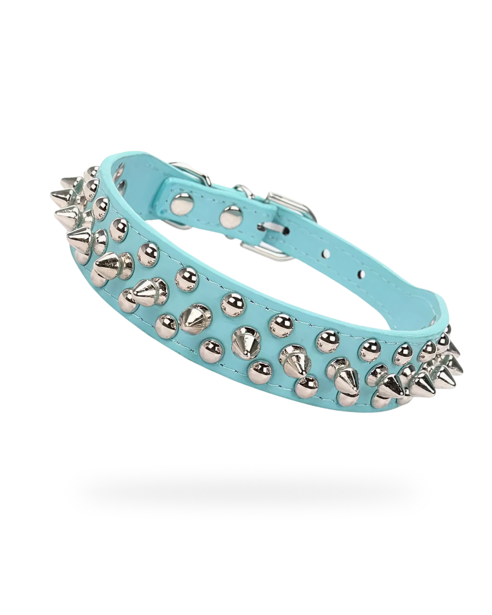 Collier Pour Chien a Pique