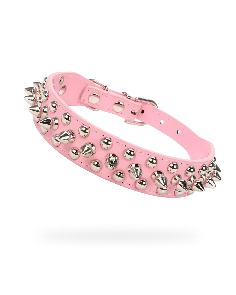 Collier Pour Chien a Pique