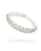 Collier Pour Chien a Pique