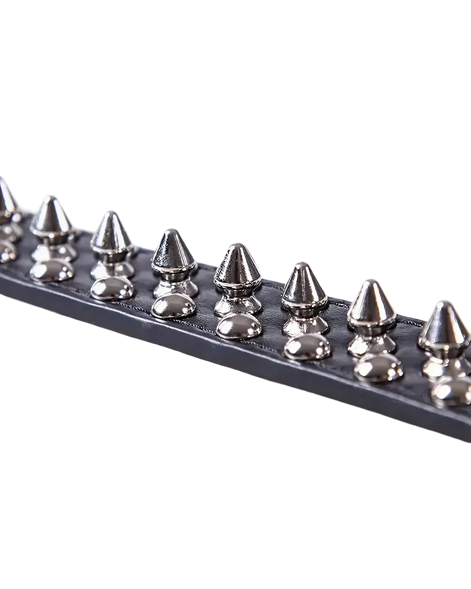 Collier Pour Chien a Pique