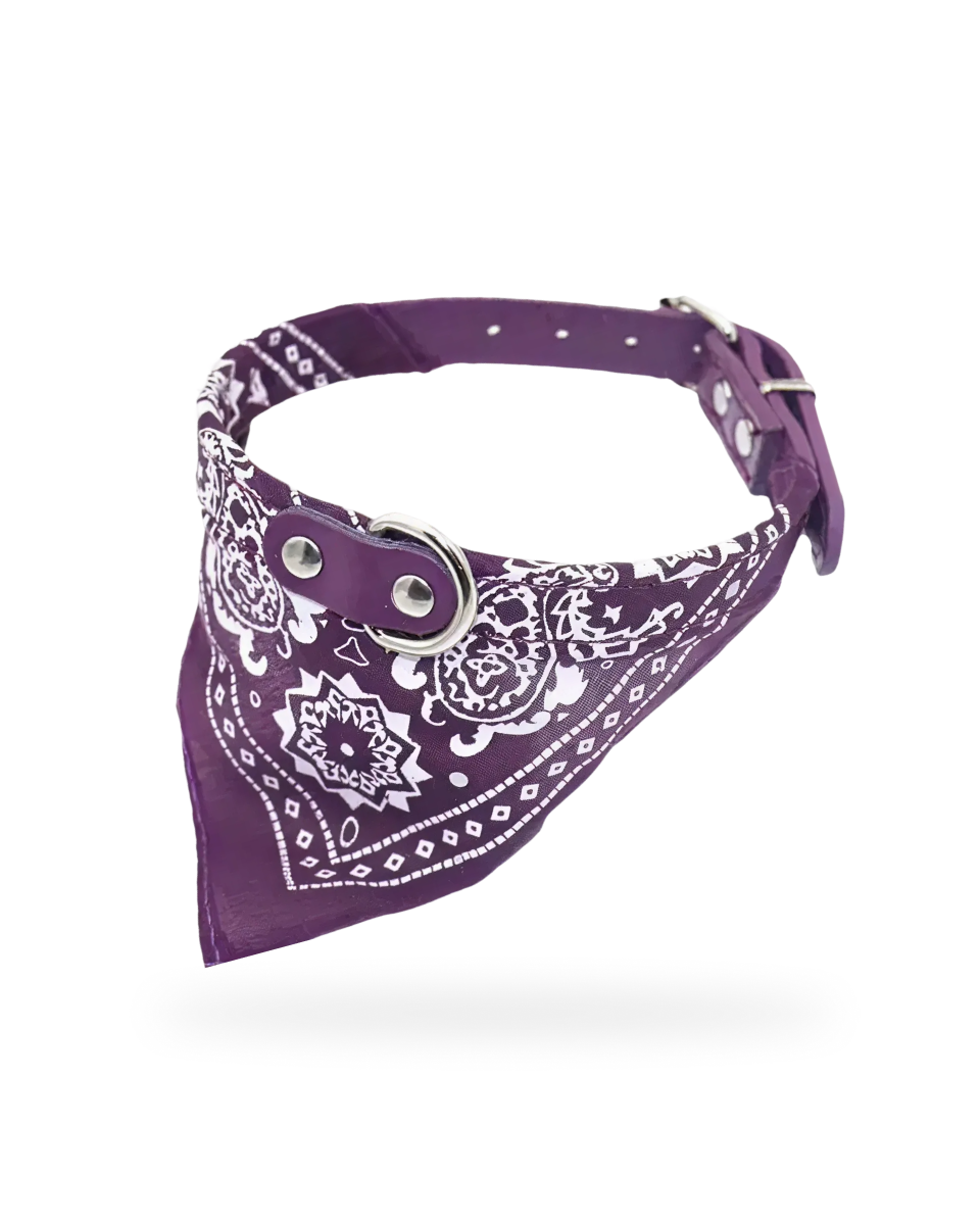 Bandana Pour Chien