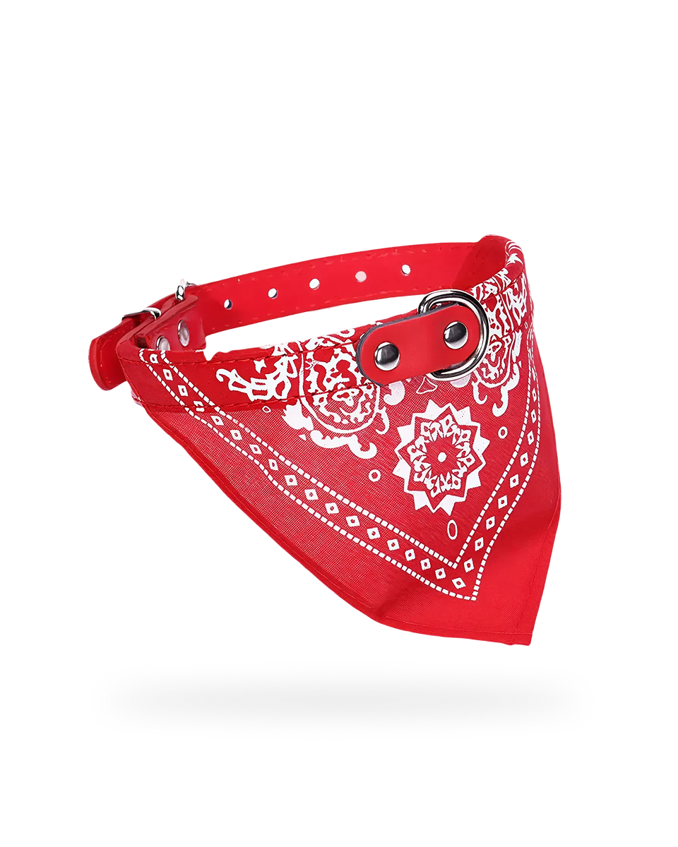 Bandana Pour Chien