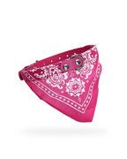 Bandana Pour Chien