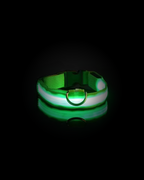 Collier Lumineux Pour Chien