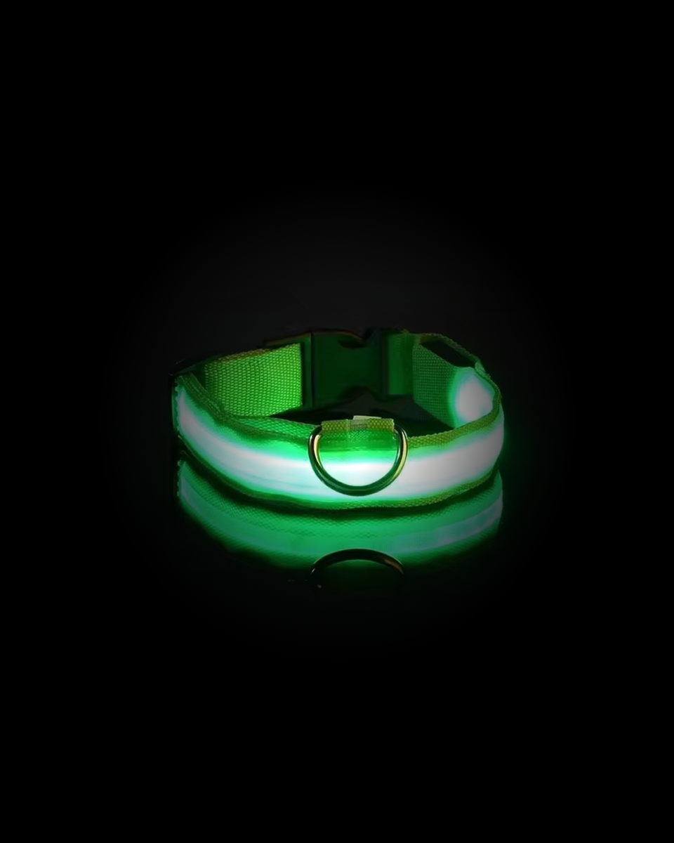 Collier Lumineux Pour Chien