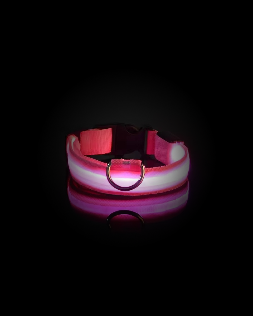 Collier Lumineux Pour Chien