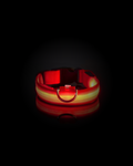 Collier Lumineux Pour Chien