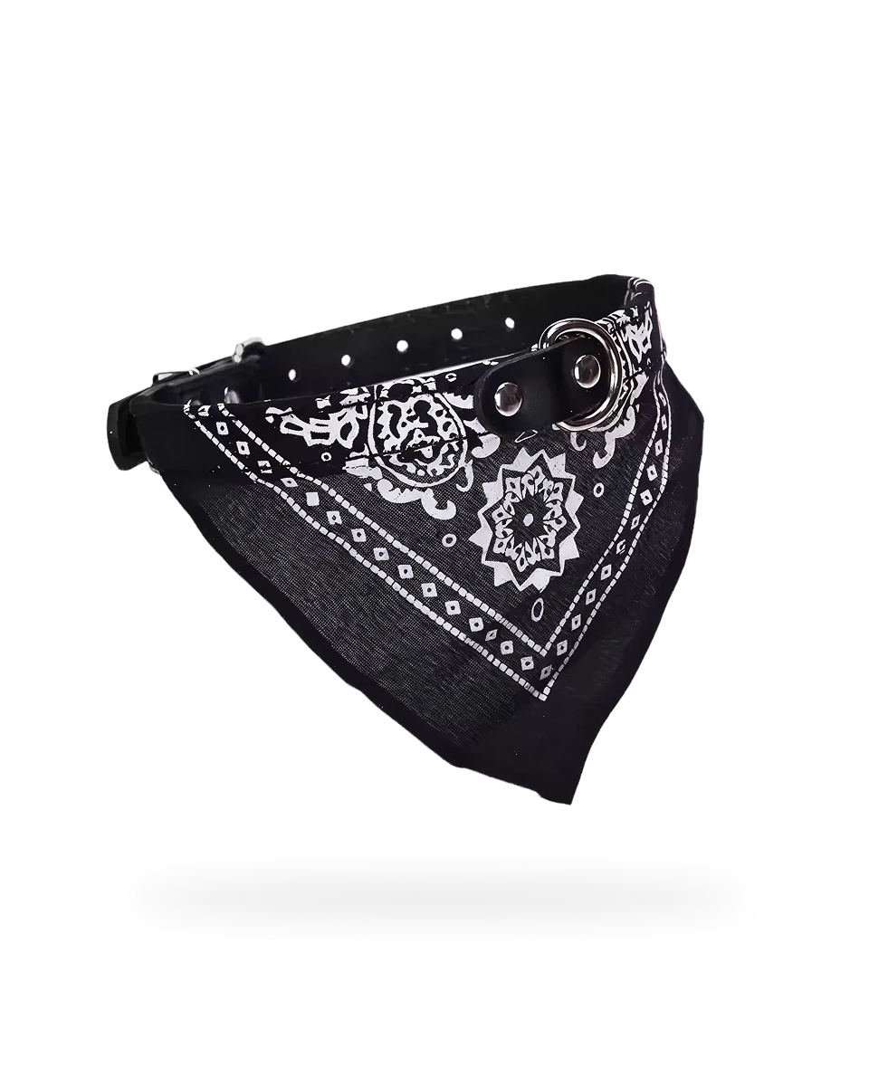 Bandana Pour Chien