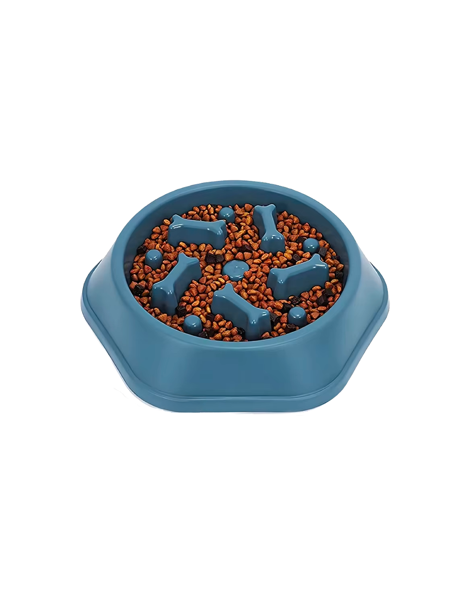 Gamelle Anti Étouffement