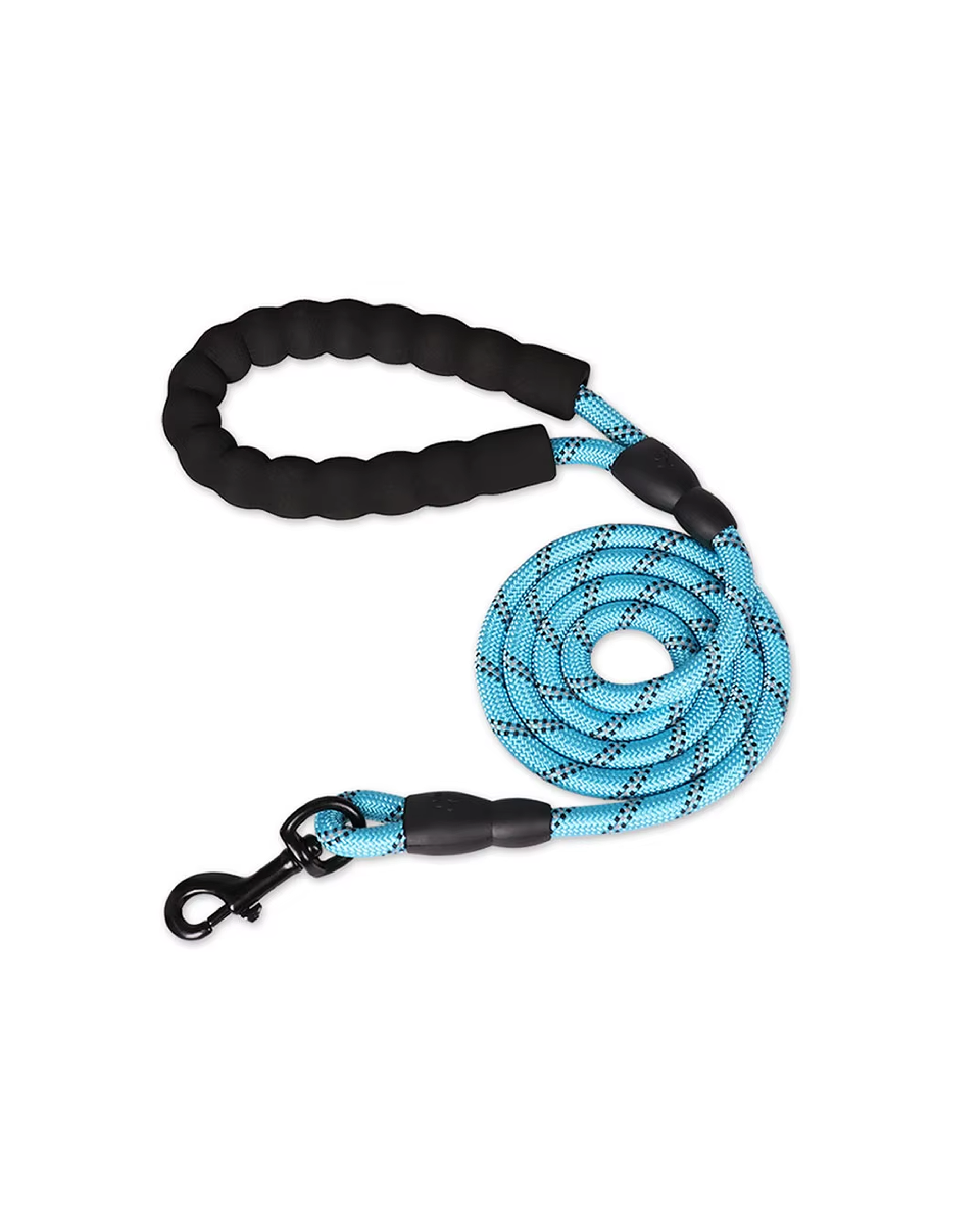 Laisse Pour Chien Solide Bleu