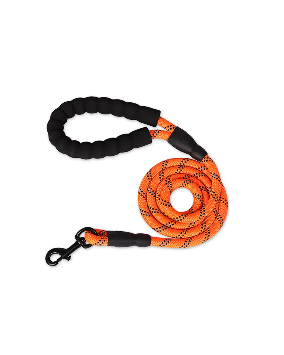 Laisse Pour Chien Solide Orange